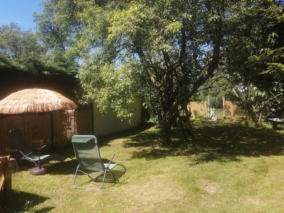Maison " Bouton D'Or" Au Bord De L'Eau, A 10 Mn De Tours , Meuble Classe Une Etoile Saint-Avertin Luaran gambar